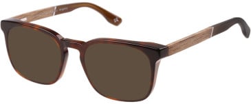 Botaniq BIO-1131 sunglasses in Tort