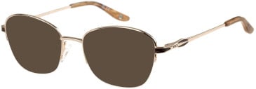 Puccini PCO-343 sunglasses in Gold