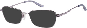 Puccini PCO-345 sunglasses in Purple