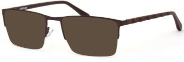 CAT CTO-3063 sunglasses in Brown