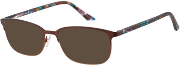 Episode EPO-415 sunglasses in Brown