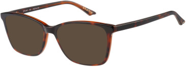 Episode EPO-407 sunglasses in Tort