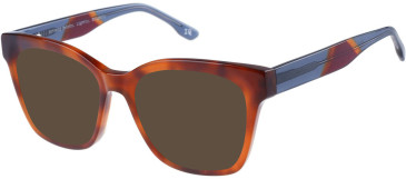 Botaniq BIO-1132 sunglasses in Havana/Blue
