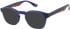 Botaniq BIO-1129 sunglasses in Blue