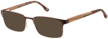 Botaniq BIO-1121 sunglasses in Brown