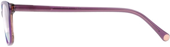 Radley RDO-6050 glasses in Purple