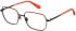 Superdry SDO-3026 glasses in Black