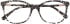 Radley RDO-6051 glasses in Black