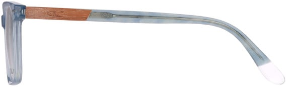O'Neill ONB-4036 glasses in Blue