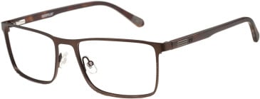 CAT CTO-3061 glasses in Brown