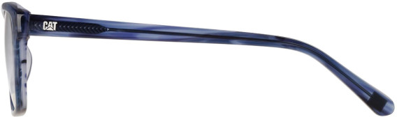 CAT CTO-3051 glasses in Blue