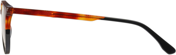 Botaniq BIO-1130 glasses in Tort