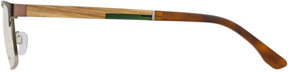Botaniq BIO-1121 glasses in Brown