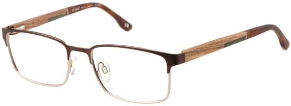 Botaniq BIO-1121 glasses in Brown