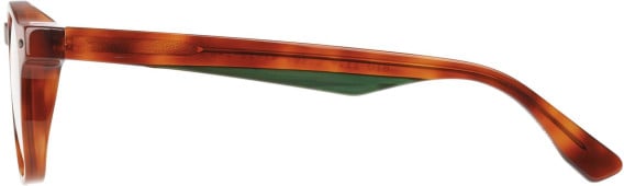 Botaniq BIO-1129 sunglasses in Tort