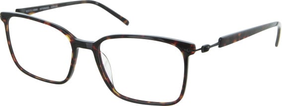 Aspire Determined glasses in Tortoise