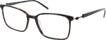 Aspire Determined glasses in Tortoise