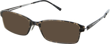 Aspire Free sunglasses in Tortoise