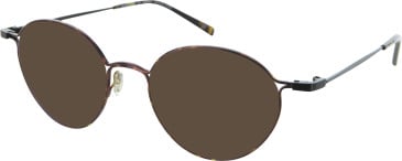 Aspire Inspired sunglasses in Tortoise Black
