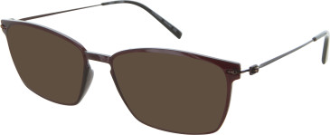 Aspire Established sunglasses in Chestnut
