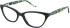 Steve Madden Gorggeous glasses in Black