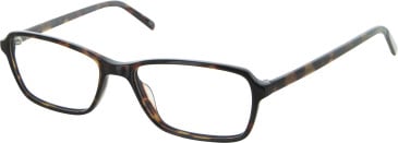 CVO Eyewear Wildcat Peak glasses in Tortoise