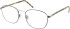 Aspire Energetic glasses in Tortoise Gunmetal