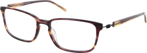 Aspire Decisive glasses in Brown Horn