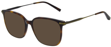 Ted Baker TB8295 sunglasses in Tortoise