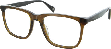 Ted Baker TB8288 glasses in Crystal Brown