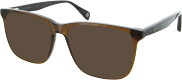 Ted Baker TB8288 sunglasses in Crystal Brown