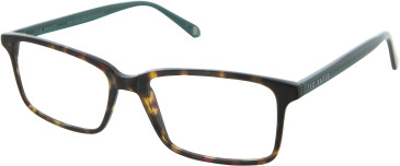 Ted Baker TB8118 Glasses in Tortoise/Teal