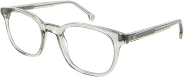 Entourage of 7 Hank-L Glasses in Clear Light Grey