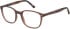 Hero HRO-4343 glasses in Brown