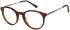 Radley RDO-6059 glasses in Tort