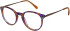 Radley RDO-6059 glasses in Purple