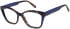 Radley RDO-6061 glasses in Tortoise/Blue