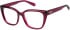 Superdry SDO-3034 glasses in Red