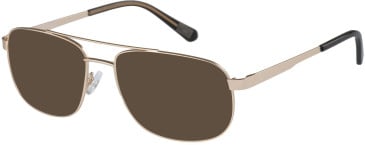 CAT CTO-3030-58 sunglasses in Gold