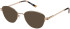 Puccini PCO-353 sunglasses in Rose Gold