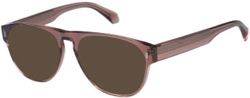Superdry SDO-3041 sunglasses in Clear Brown