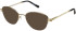 Puccini PCO-353 sunglasses in Gold