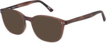 Hero HRO-4343 sunglasses in Brown