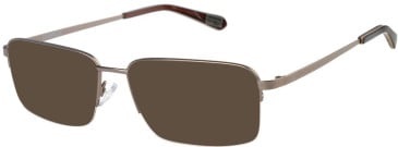 CAT CTO-3067 sunglasses in Brown