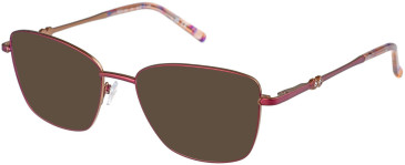 Puccini PCO-355 sunglasses in Burgundy