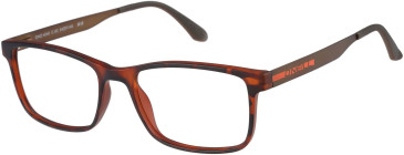 O'Neill ONO-4548 glasses in Tort
