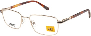 CAT CTO-3057 glasses in Gold