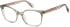 Superdry SDO-3006 glasses in Pink