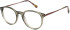 Radley RDO-6059 glasses in Green