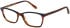 Radley RDO-6058 glasses in Brown/Purple